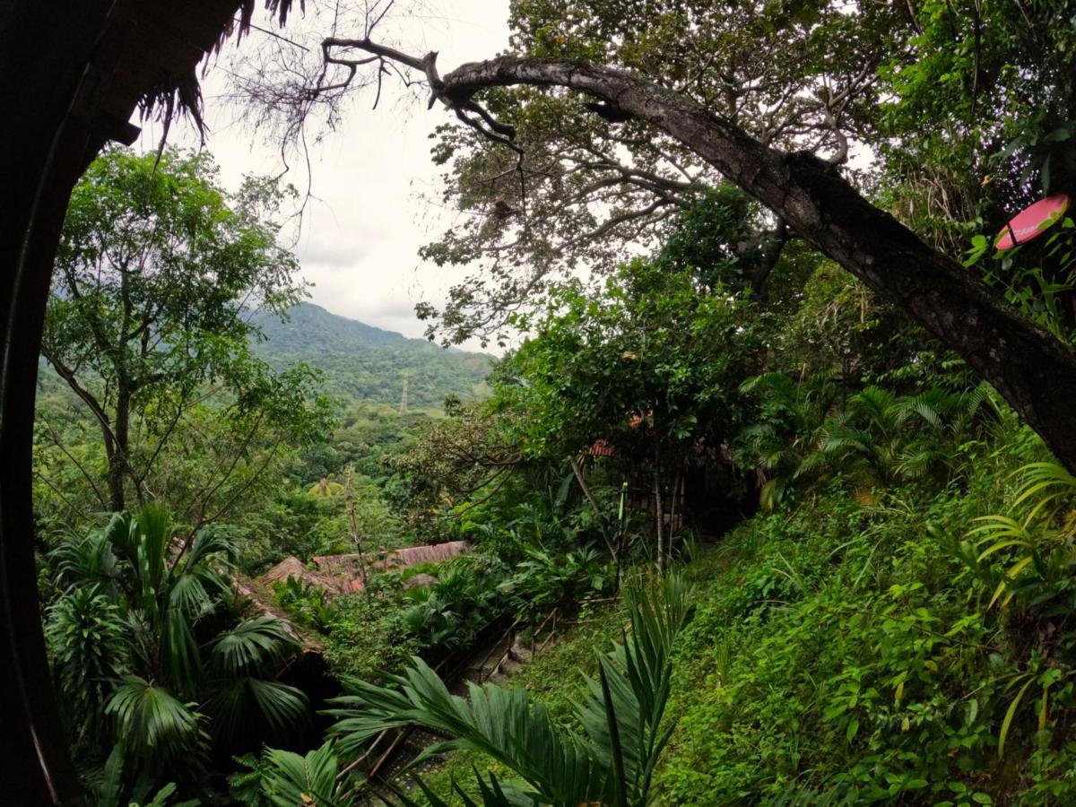 Ecohostal Rio Piedra El Zaino Exteriér fotografie
