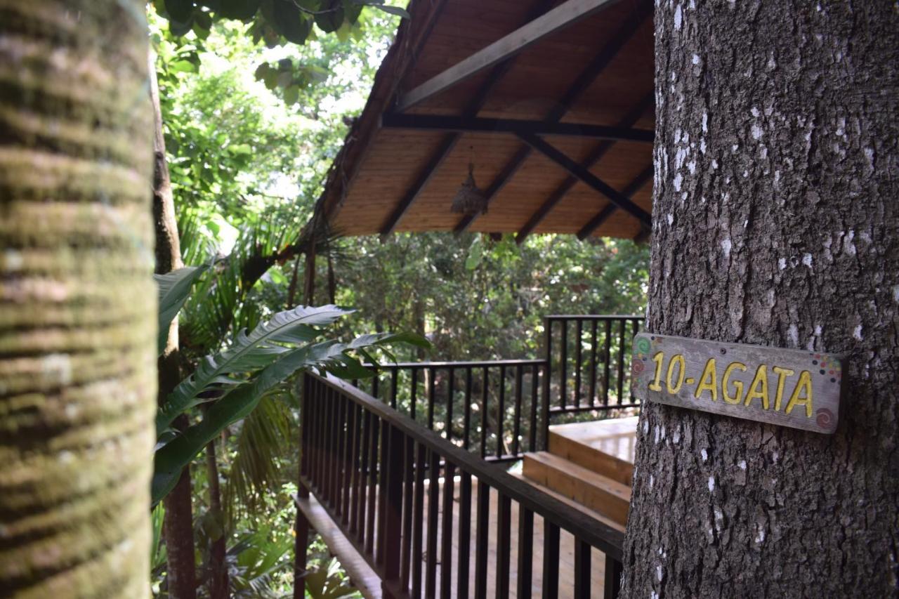 Ecohostal Rio Piedra El Zaino Exteriér fotografie